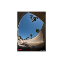 Плакат Odyssey Gary Young (Bridge Wallride) купить в интернет магазине
